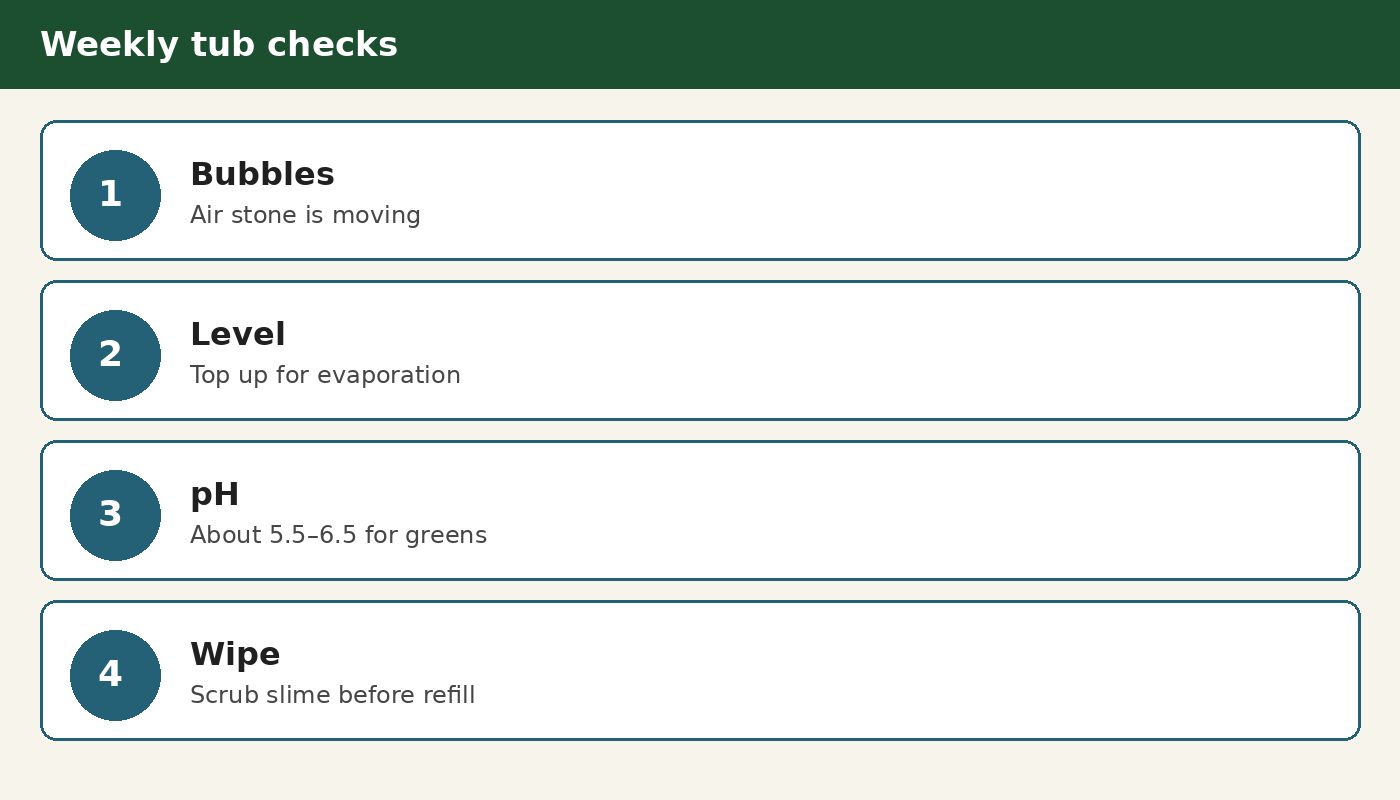 Weekly checks: bubbles, water level, pH, wipe the tub